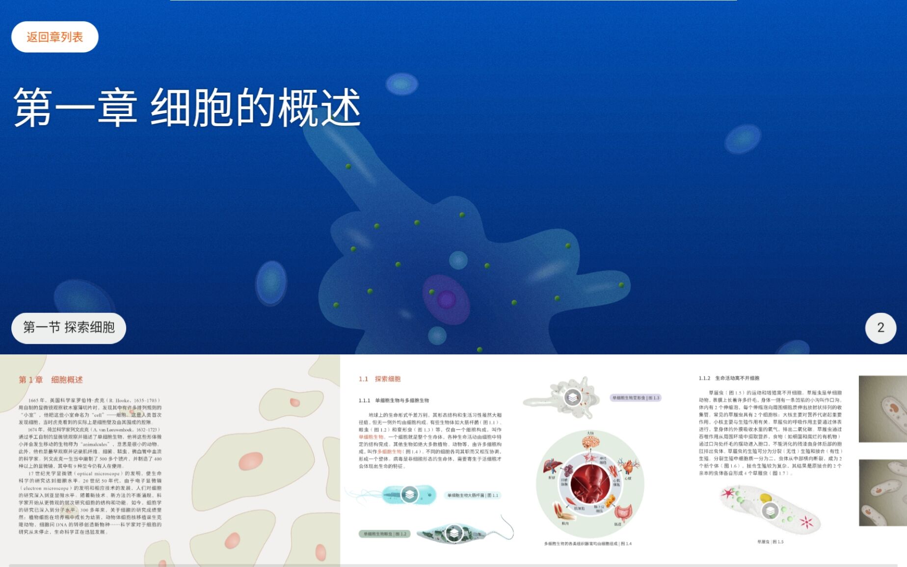 分子与细胞